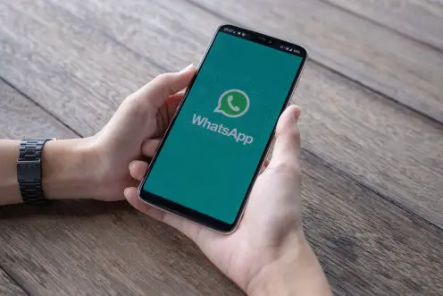WhatsApp / Celular • Madeiras Mata Verde