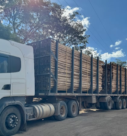 Corte e transporte para usina