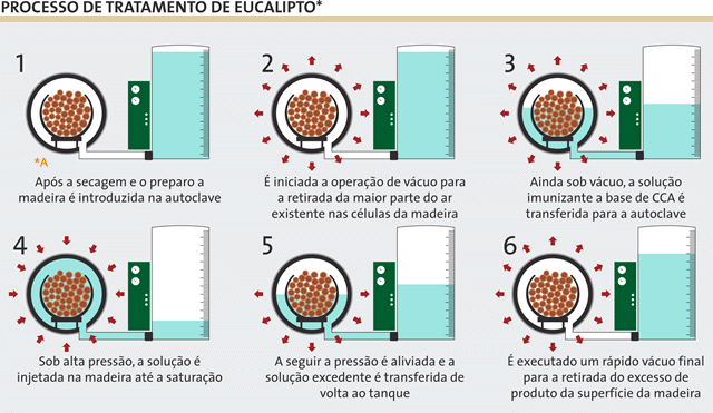 Etapa 1